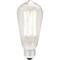 Signature Home Collection Set of 3 Clear LED Dimmable Light bulb 5.5"